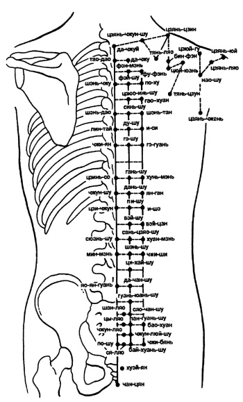 Иллюстрация к книге — Все про массаж [i_084.jpg]