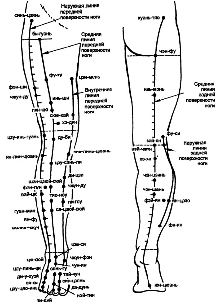 Иллюстрация к книге — Все про массаж [i_091.jpg]