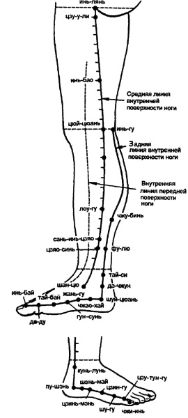 Иллюстрация к книге — Все про массаж [i_092.jpg]