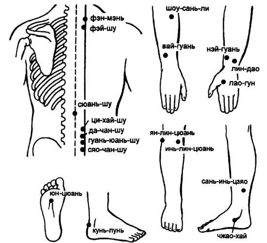 Иллюстрация к книге — Все про массаж [i_101.jpg]