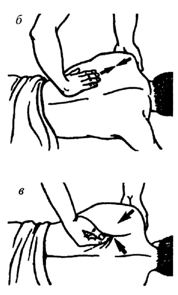 Иллюстрация к книге — Все про массаж [i_131.jpg]