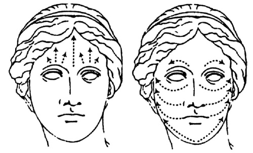 Иллюстрация к книге — Все про массаж [i_205.jpg]