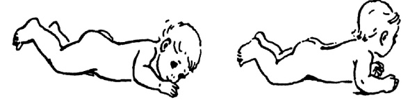 Иллюстрация к книге — Все про массаж [i_207.jpg]