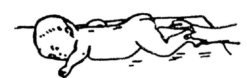 Иллюстрация к книге — Все про массаж [i_210.jpg]