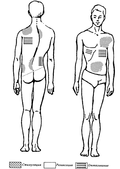 Иллюстрация к книге — Все про массаж [i_231.jpg]