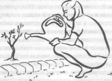 Иллюстрация к книге — Беременность и роды. Волшебное начало новой жизни [i_005.jpg]