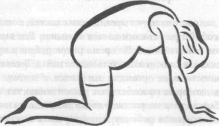 Иллюстрация к книге — Беременность и роды. Волшебное начало новой жизни [i_009.jpg]