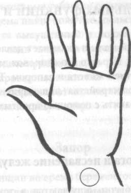 Иллюстрация к книге — Беременность и роды. Волшебное начало новой жизни [i_016.jpg]