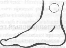 Иллюстрация к книге — Беременность и роды. Волшебное начало новой жизни [i_022.jpg]