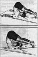 Иллюстрация к книге — Полноценный сон. Полная программа по преодолению бессонницы [pic_14.jpg]