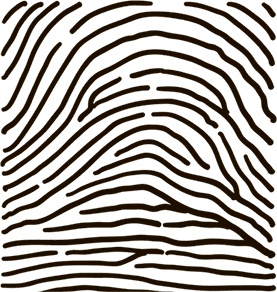 Иллюстрация к книге — 5 наших чувств для здоровой и долгой жизни. Практическое руководство [i_011.jpg]