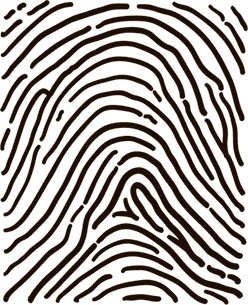 Иллюстрация к книге — 5 наших чувств для здоровой и долгой жизни. Практическое руководство [i_012.jpg]