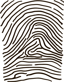 Иллюстрация к книге — 5 наших чувств для здоровой и долгой жизни. Практическое руководство [i_014.jpg]