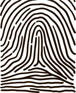 Иллюстрация к книге — 5 наших чувств для здоровой и долгой жизни. Практическое руководство [i_015.jpg]