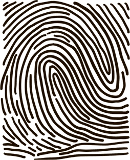 Иллюстрация к книге — 5 наших чувств для здоровой и долгой жизни. Практическое руководство [i_018.jpg]