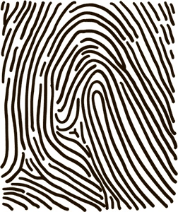 Иллюстрация к книге — 5 наших чувств для здоровой и долгой жизни. Практическое руководство [i_019.jpg]