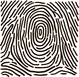 Иллюстрация к книге — 5 наших чувств для здоровой и долгой жизни. Практическое руководство [i_022.jpg]