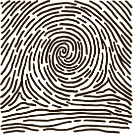 Иллюстрация к книге — 5 наших чувств для здоровой и долгой жизни. Практическое руководство [i_023.jpg]