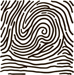 Иллюстрация к книге — 5 наших чувств для здоровой и долгой жизни. Практическое руководство [i_025.jpg]