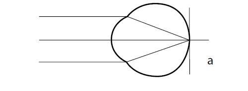 Иллюстрация к книге — Как улучшить зрение, когда тебе за... [i_004.jpg]