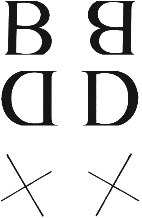 Иллюстрация к книге — Мозг против старения [_040.jpg]