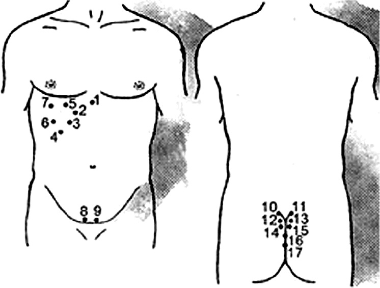 Иллюстрация к книге — Пиявки. Домашняя гирудотерапия [i_007.jpg]