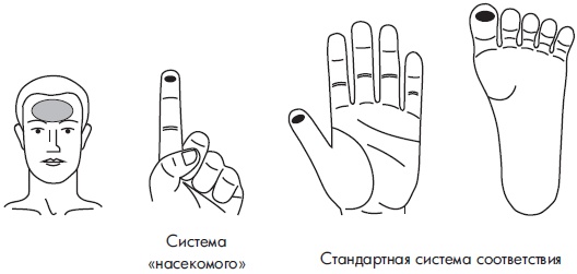 Иллюстрация к книге — Су-Джок. Самодиагностика и лечение [Autogen_eBook_id100.jpg]