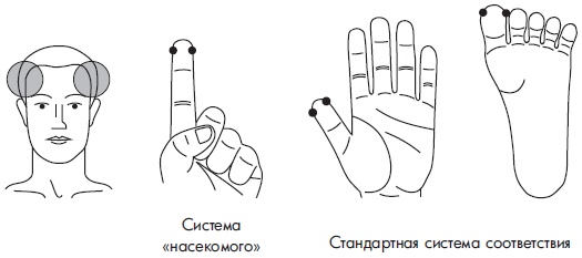 Иллюстрация к книге — Су-Джок. Самодиагностика и лечение [Autogen_eBook_id101.jpg]