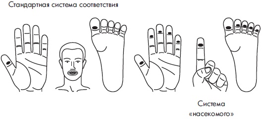 Иллюстрация к книге — Су-Джок. Самодиагностика и лечение [Autogen_eBook_id107.jpg]