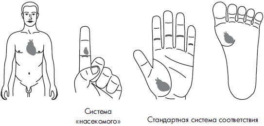 Иллюстрация к книге — Су-Джок. Самодиагностика и лечение [Autogen_eBook_id108.jpg]