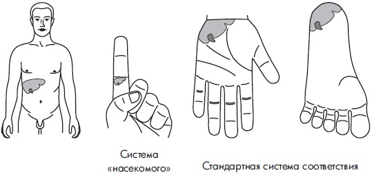 Иллюстрация к книге — Су-Джок. Самодиагностика и лечение [Autogen_eBook_id110.jpg]