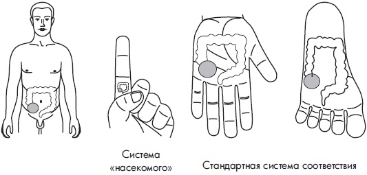 Иллюстрация к книге — Су-Джок. Самодиагностика и лечение [Autogen_eBook_id113.jpg]