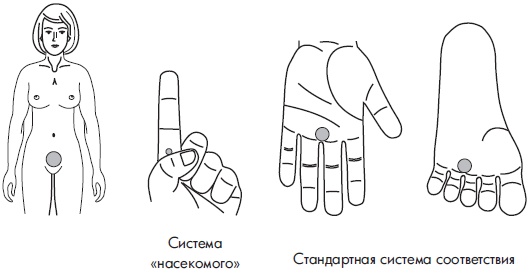 Иллюстрация к книге — Су-Джок. Самодиагностика и лечение [Autogen_eBook_id115.jpg]