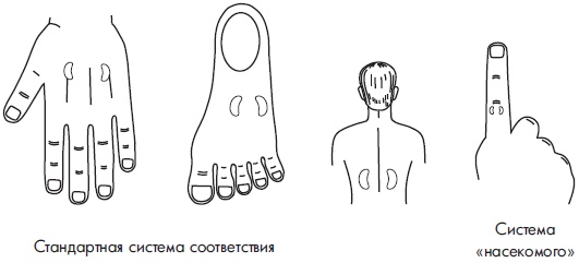 Иллюстрация к книге — Су-Джок. Самодиагностика и лечение [Autogen_eBook_id117.jpg]