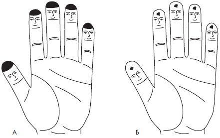 Иллюстрация к книге — Су-Джок. Самодиагностика и лечение [Autogen_eBook_id12.jpg]