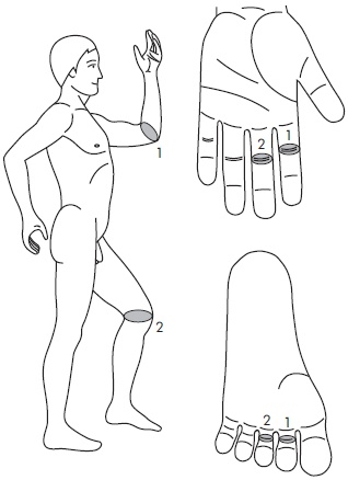 Иллюстрация к книге — Су-Джок. Самодиагностика и лечение [Autogen_eBook_id120.jpg]