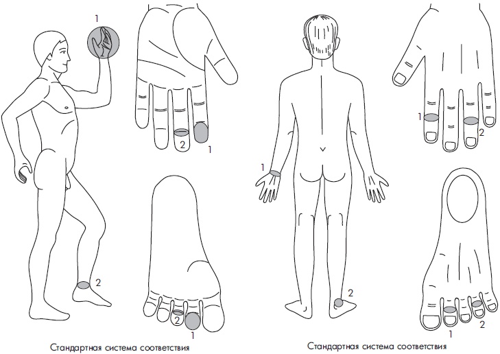Иллюстрация к книге — Су-Джок. Самодиагностика и лечение [Autogen_eBook_id122.jpg]