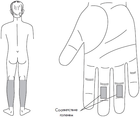 Иллюстрация к книге — Су-Джок. Самодиагностика и лечение [Autogen_eBook_id13.jpg]