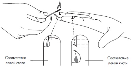 Иллюстрация к книге — Су-Джок. Самодиагностика и лечение [Autogen_eBook_id17.jpg]