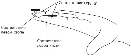 Иллюстрация к книге — Су-Джок. Самодиагностика и лечение [Autogen_eBook_id18.jpg]