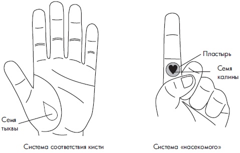 Иллюстрация к книге — Су-Джок. Самодиагностика и лечение [Autogen_eBook_id19.jpg]