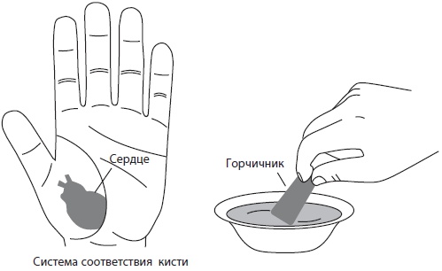 Иллюстрация к книге — Су-Джок. Самодиагностика и лечение [Autogen_eBook_id20.jpg]