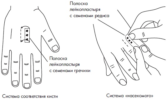 Иллюстрация к книге — Су-Джок. Самодиагностика и лечение [Autogen_eBook_id23.jpg]