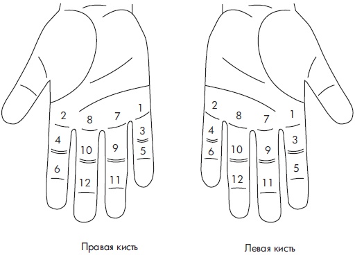Иллюстрация к книге — Су-Джок. Самодиагностика и лечение [Autogen_eBook_id24.jpg]