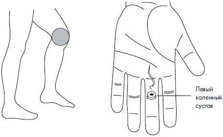 Иллюстрация к книге — Су-Джок. Самодиагностика и лечение [Autogen_eBook_id25.jpg]
