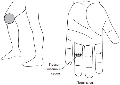 Иллюстрация к книге — Су-Джок. Самодиагностика и лечение [Autogen_eBook_id26.jpg]