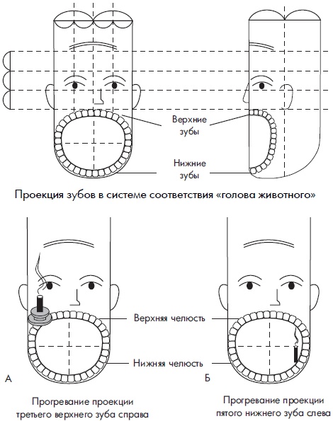 Иллюстрация к книге — Су-Джок. Самодиагностика и лечение [Autogen_eBook_id27.jpg]
