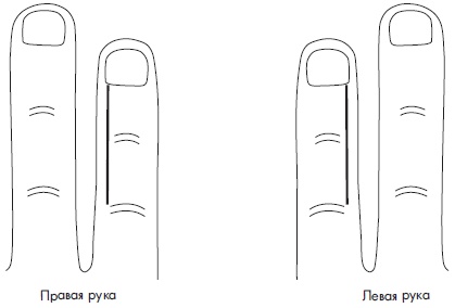 Иллюстрация к книге — Су-Джок. Самодиагностика и лечение [Autogen_eBook_id34.jpg]