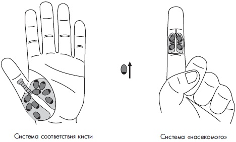 Иллюстрация к книге — Су-Джок. Самодиагностика и лечение [Autogen_eBook_id37.jpg]