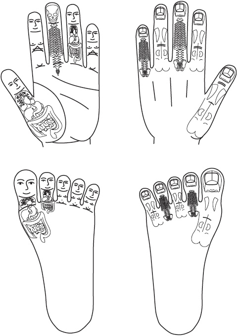 Иллюстрация к книге — Су-Джок. Самодиагностика и лечение [Autogen_eBook_id4.jpg]